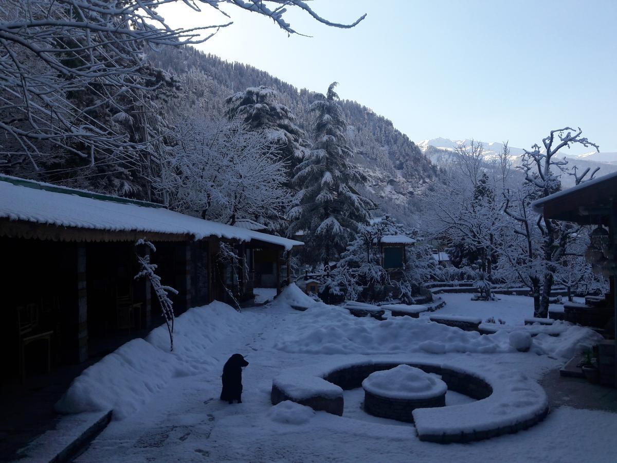 Johnson Lodge & Spa Manāli Zewnętrze zdjęcie